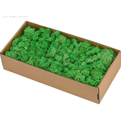 Islandský stabilizovaný, preparovaný mech 500 g, tmavě zelená