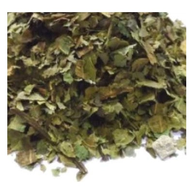World Herbs Borůvka nať 100 g
