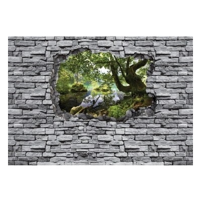 FT7620 vliesová fototapeta Výhľad dierou v stene na les, rozmery 520cm x 318cm