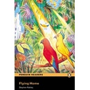 Flying Home + CD - Stephen Rabley