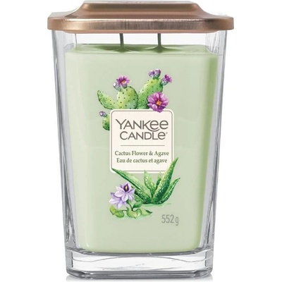 Yankee Candle Elevation Cactus Flower & Agave 552 g