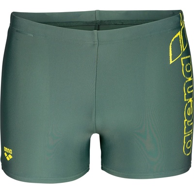 arena Мъжки бански слипове Arena Scratchy Swim Short Swim brief - Sage - размер 6 (DE) (050-2172-0514)