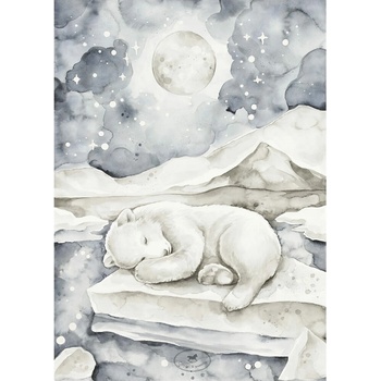 Plagát medveď 18x24cm