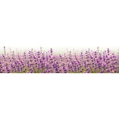Dimex KI180-125 Fototapeta do kuchyně Levander Field rozměry 180 x 60 cm