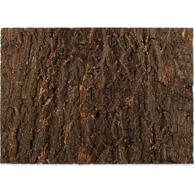 Repti Planet pozadí přírodní korek 58,5x41 cm – Zboží Dáma