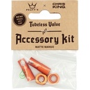 Peaty´s chris king MK 2 Tubeless Valve Accessory Kit