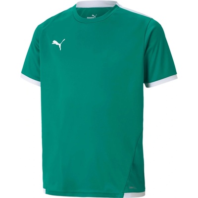 Puma teamLIGA Jersey Jr zelená