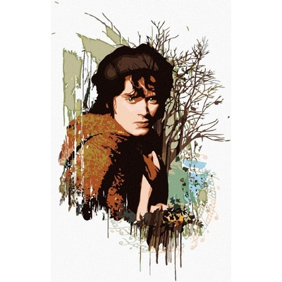 Zuty Malovaný frodo pán prstenů 40 x 50 cm vypnuté plátno na rám 8596530237495