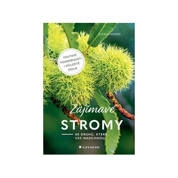 Zajímavé stromy
