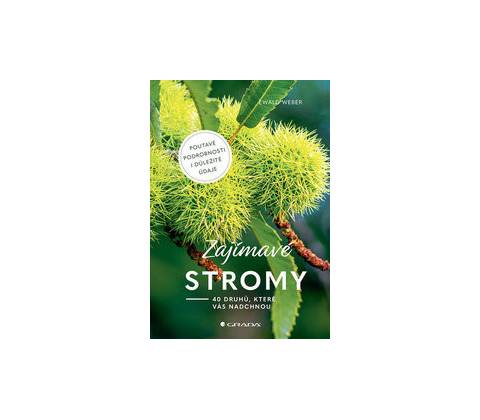 Zajímavé stromy