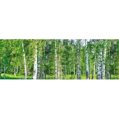 Фототапет за кухня - брезова горичка 180 x 60 см