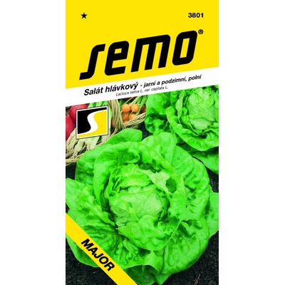 Semo Salát jarní - Major polní 0,3g - VÝPRODEJ