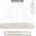 Toolight APP1546-CP2