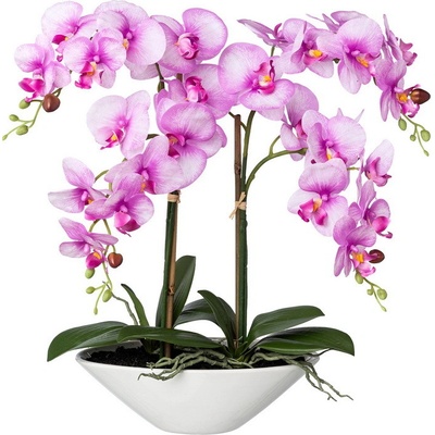 Orchidea ružová v miske, 53cm