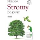 Stromy