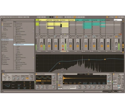 Ableton Live 11 Suite
