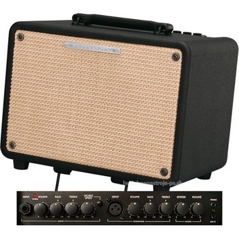 Ibanez T 30