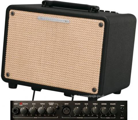 Ibanez T 30