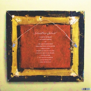Iron and Wine - Ghost On Ghost (LP + CD) (0652637330618)