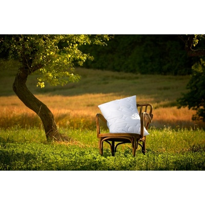 Ložnice21 Vankúš Silver Origin bez zipsu 1000 g 70x80