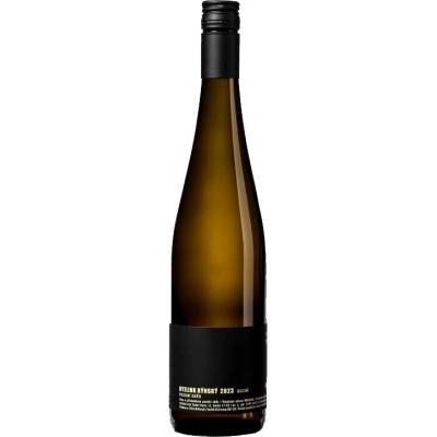 Vinařství Bílkovi Ryzlink Rýnský suché bílé 2024 13.5% 0,75 l (holá láhev)