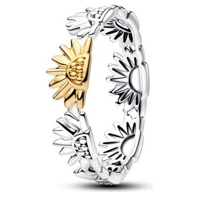 Pandora 164702C00