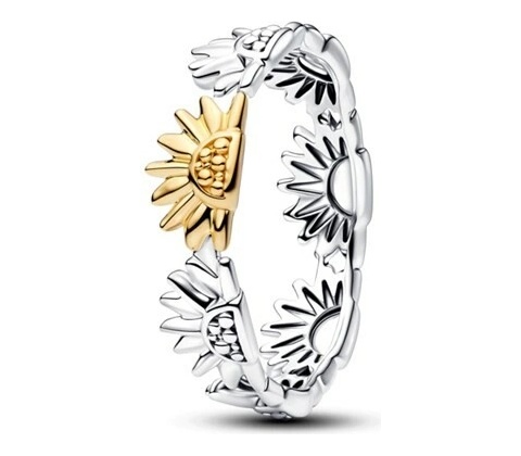 Pandora 164702C00