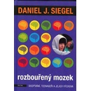 Rozbouřený mozek