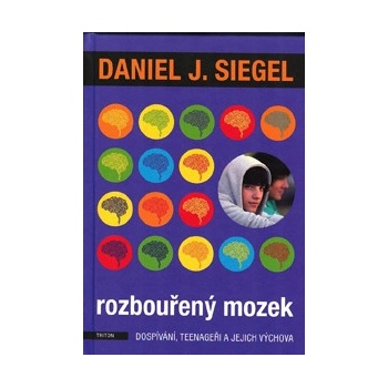 Rozbouřený mozek