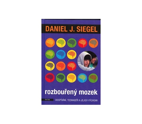 Rozbouřený mozek