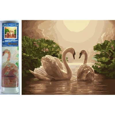 Norimpex Diamantové malování Labutí píseň 30 x 40 cm – Hledejceny.cz