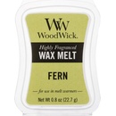 WoodWick vonný vosk do aróma lampy Fern Papraď 22,7 g