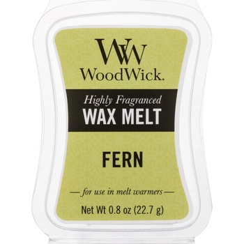WoodWick vonný vosk do aróma lampy Fern Papraď 22,7 g