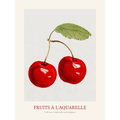 autor Plagát, Obraz - Cherries (Watercolour Kitchen Fruit), 30 × 40 cm