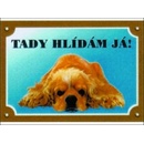 Dafiko Tabulka kokršpaněl americký ležící