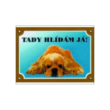 Dafiko Tabulka kokršpaněl americký ležící