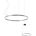 Redo Group Orbit 01-1949-TRIAC