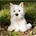One for Fun Plush Westie