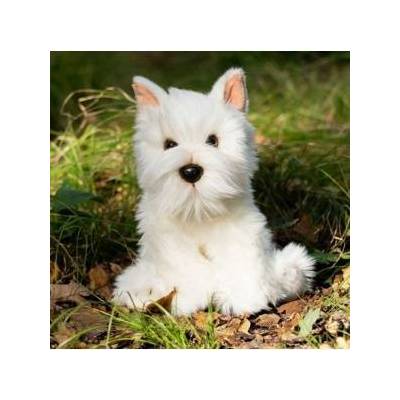 One for Fun Plush Westie