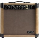 Stagg 20 AA