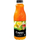 Cappy multivitamin 50% 1l