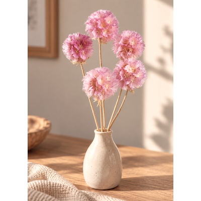 Sušená Scabiosa světle růžová 5ks