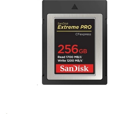 SanDisk 256GB SDCFE-256G-GN4NN