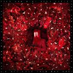Iron and Wine - Hen's Teeth (CD) (0098787170726)