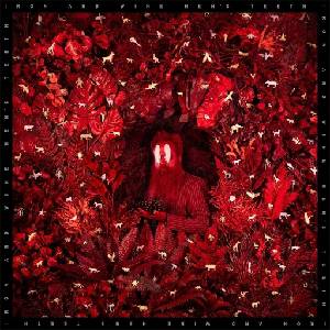 Iron and Wine - Hen's Teeth (CD) (0098787170726)