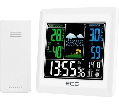 ECG MS 300