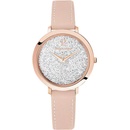 Image 1 of Pierre Lannier 105J905