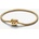 Pandora 563516C01