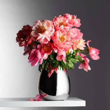 Image 1 of Philippi Среден размер ваза philippi от серия anais