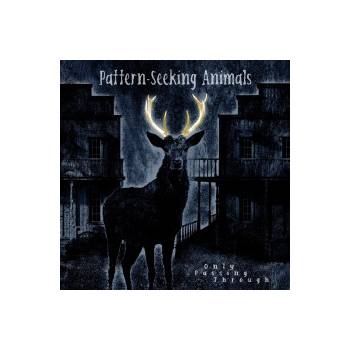 Pattern-Seeking Animals - Only Passing Through LP